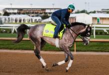 Horse Racing Picks for Saturday, December 13 from Mike Somich Kentucky Derby horse Rocket Can on the track on Sunday. April 23 2023 at Churchill Downs