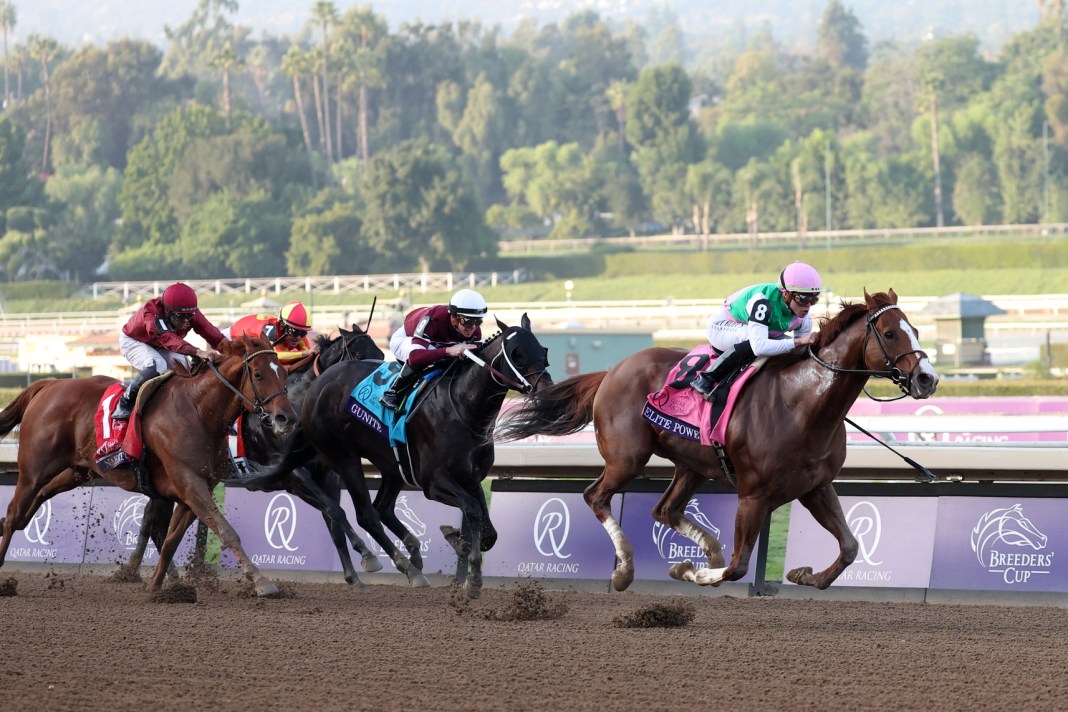 Horse Racing: 2023 Breeders' Cup Championship