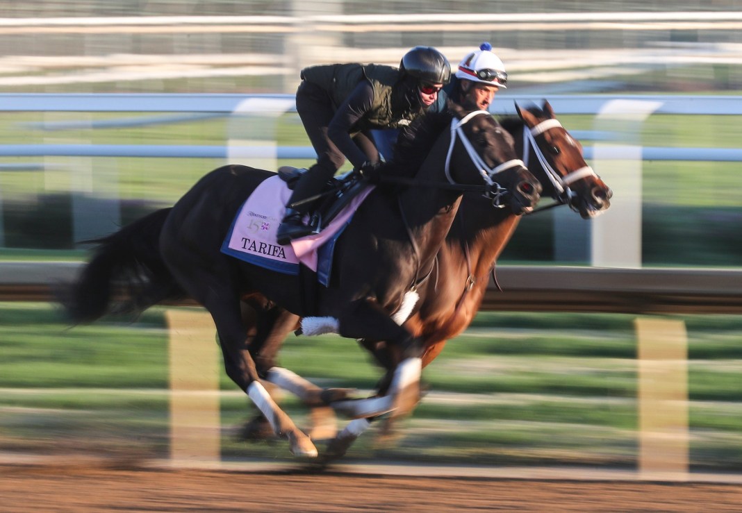 Syndication: The Courier-Journal