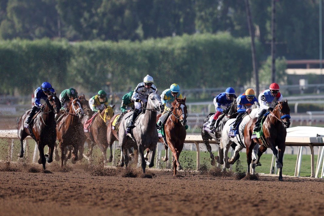 Horse Racing: 2023 Breeders' Cup Championship