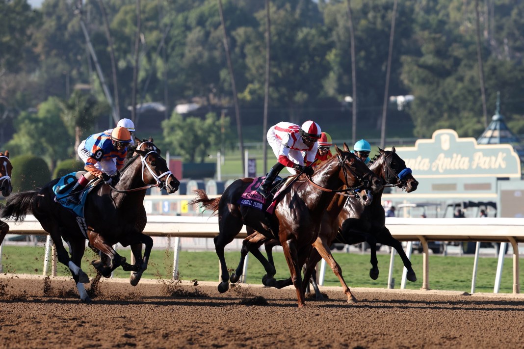 GENERAL PARTNER (8), ridden by Manuel Franco, takes an early lead as FIERCENESS (9), ridden by John Velazquez, follows during the Breeders' Cup Juvenile race at the 2023 Breeders' Cup World Championships at Santa Anita Park in Santa Anita, CA, on November 3, 2023.
