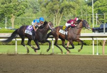 Oaklawn Horse Racing Picks and Predictions for Friday, December 12