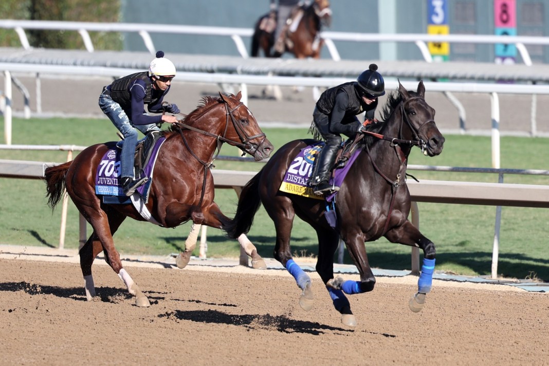 Horse Racing: Breeders' Cup-Workouts adare manor in the pacific classic