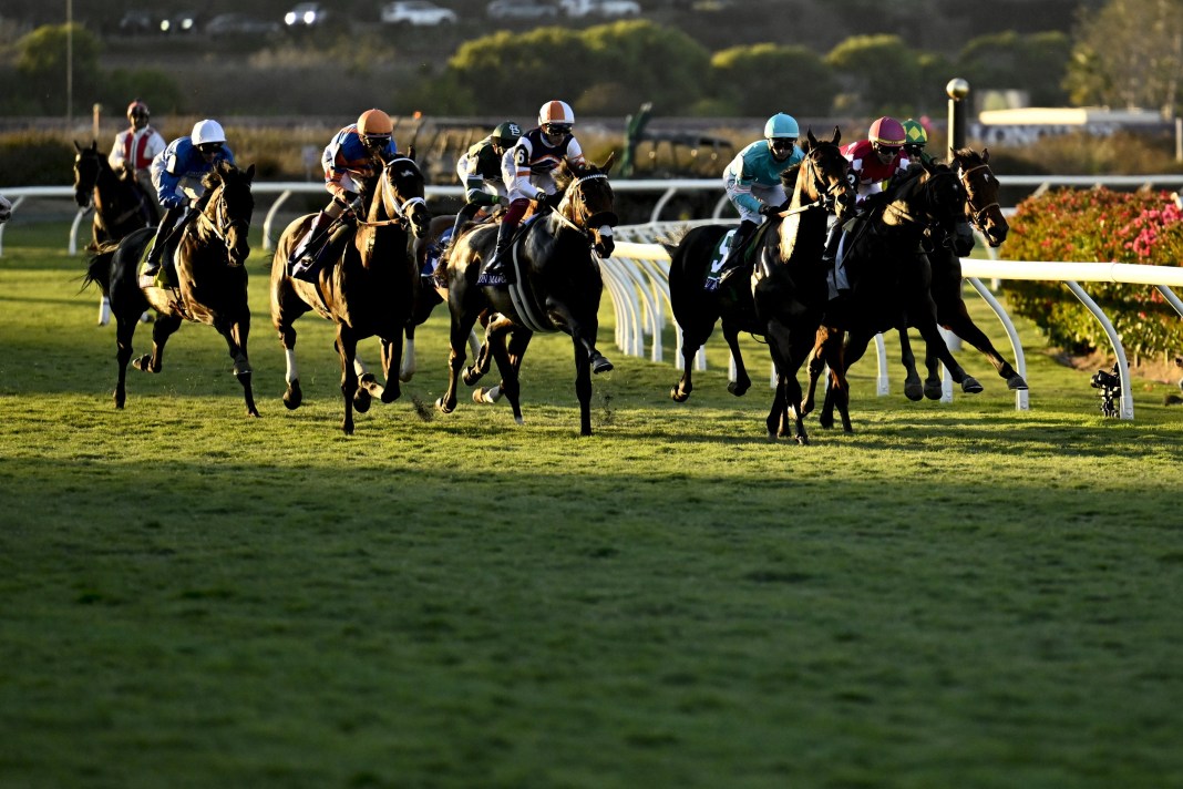 Horses run in the Juvenile Turf race during the 2024 Breeders' Cup Championship at Del Mar Thoroughbred Club.