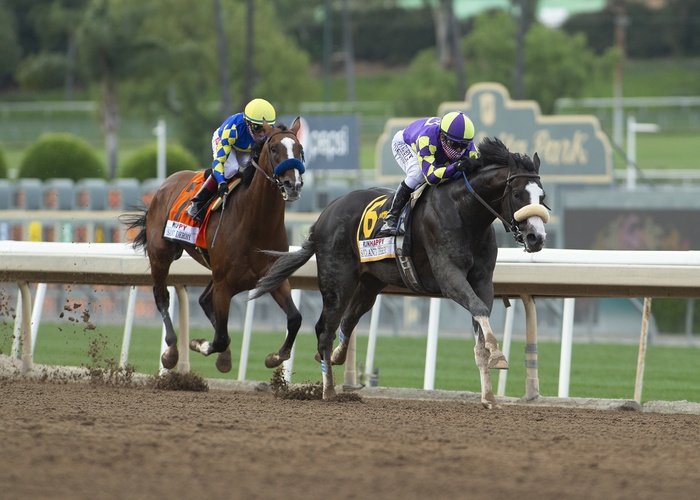 C R K Stable's Honor A.P., ridden by jockey Mike Smith, wins the Grade I $400,000 RUNHAPPY Santa Anita Derby at Santa Anita Park in Arcadia, CA, on June 6, 2020.