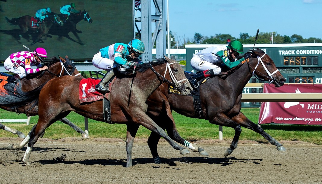 Syndication: Bucks County Courier Times Penn National horse racing