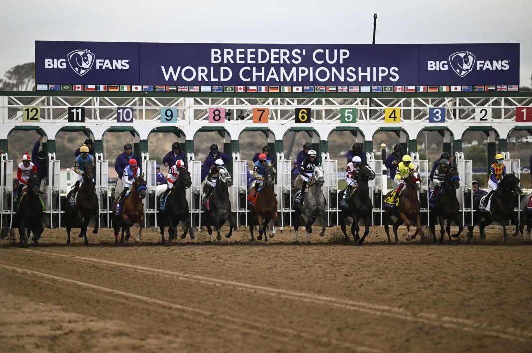 breeders cup classic 2025 picks odds predictions